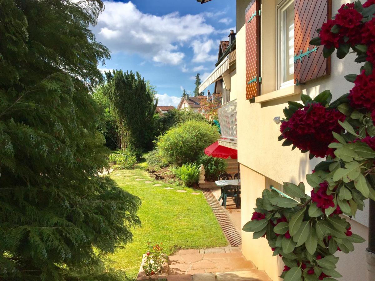 Le Gite De Brigitte ! Saint-Die-des-Vosges Exterior foto